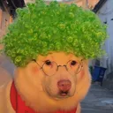 @funnyanimalvideo99