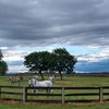 ranch_200