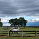 @ranch_200