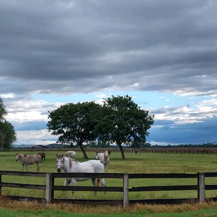 ranch_200