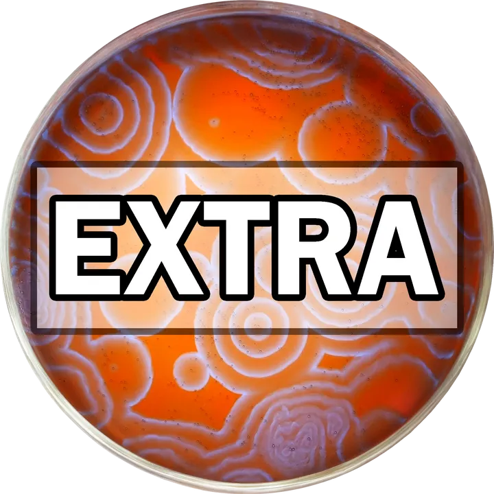 nileredextra