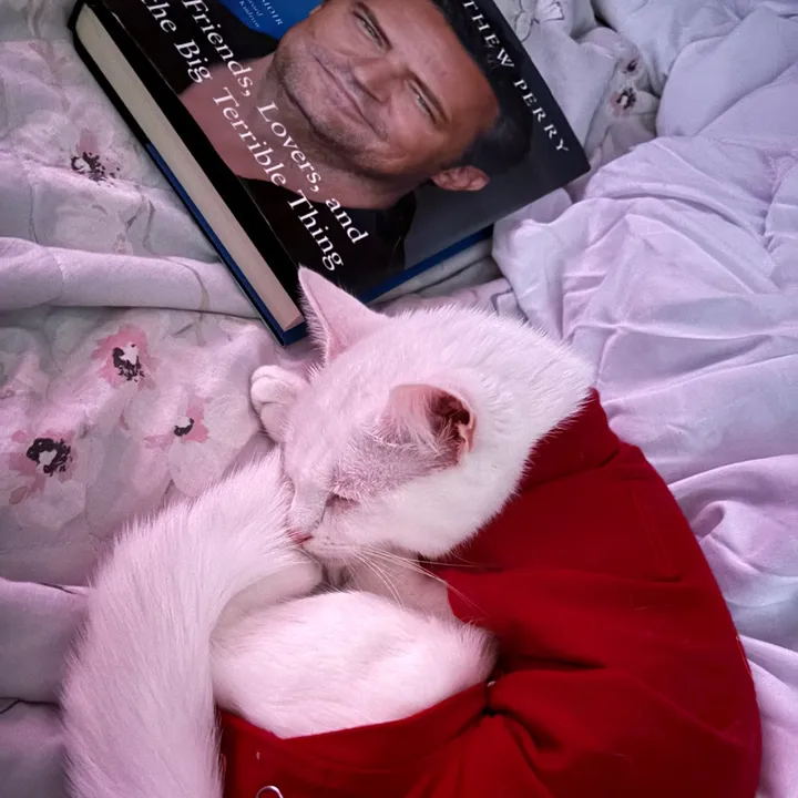 cats_diamonds_books