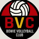 @bowie.vc