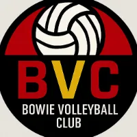 bowie.vc
