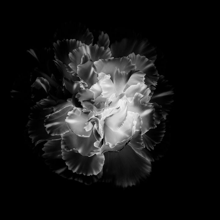 unknown - original sound
