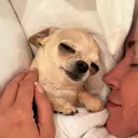 @nata.and.sara
