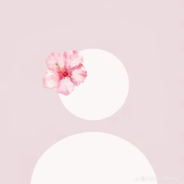 @evelynlifestyle0