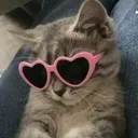 @ilovenoooodles