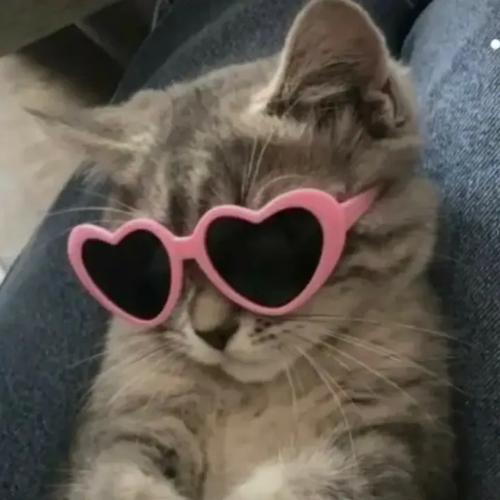 ilovenoooodles