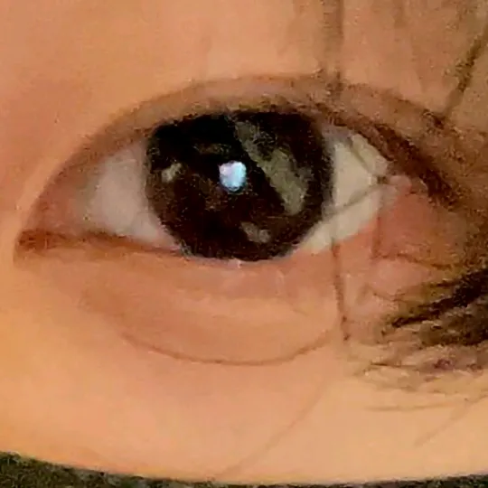 foxygreygrl