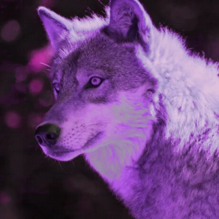 .moonlight._the_wolf._