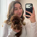 @maltipoopuppyplac