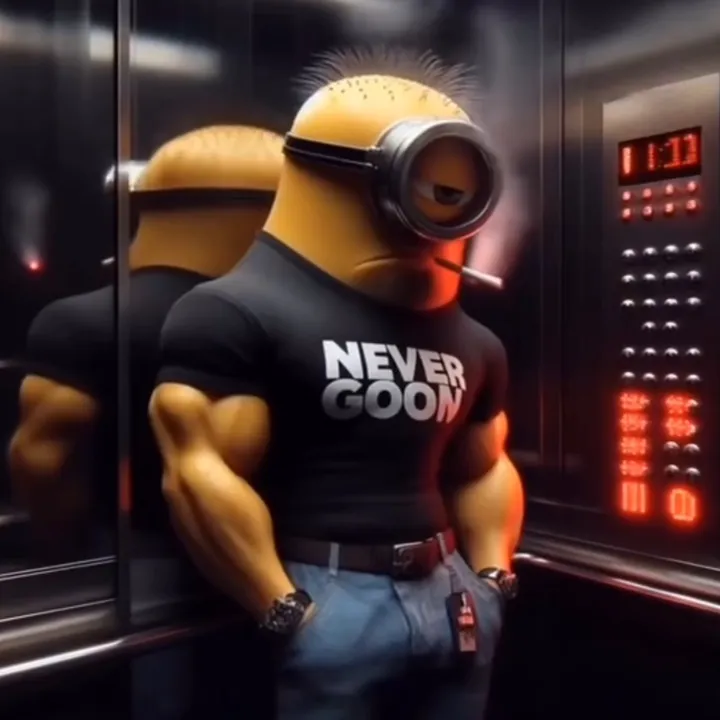 v2memesv2