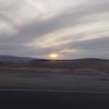 boi_sotuff_unknown.5