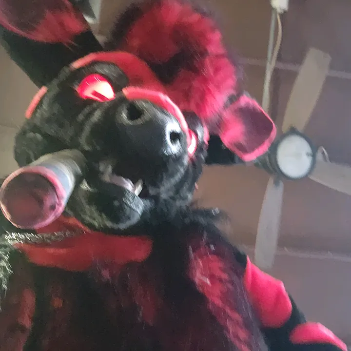 fullmetalfallow