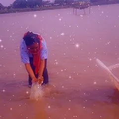 sartbowd