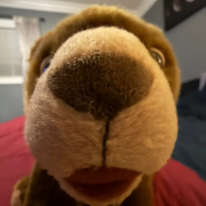 devdubs