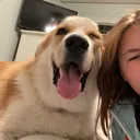 @notnatbford