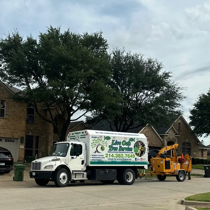 @liveoaktreeservice