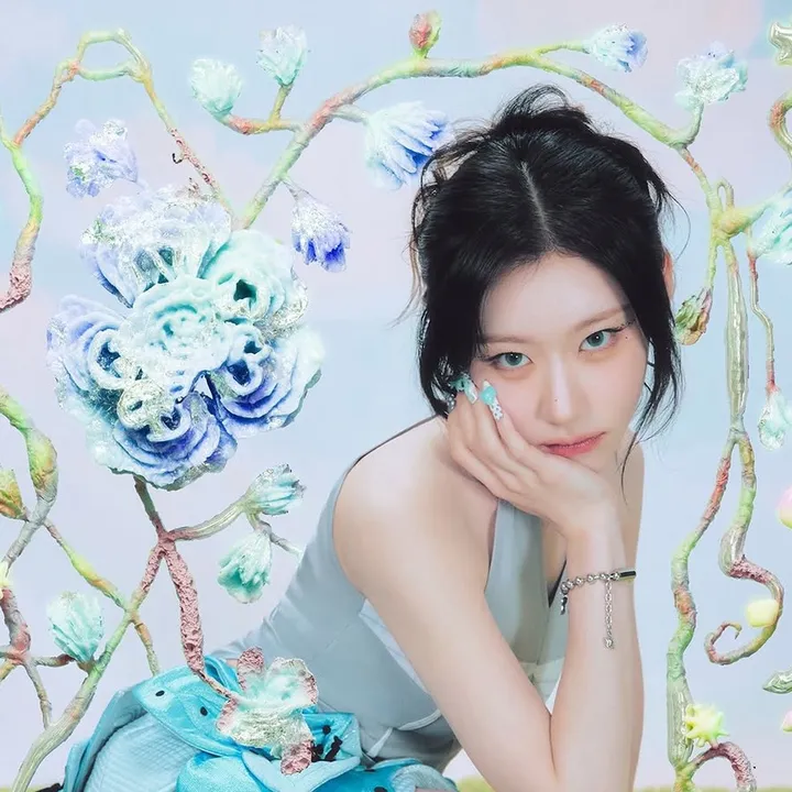 @fancyseungmi