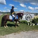 @jewels_horses