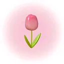 @nnbubble