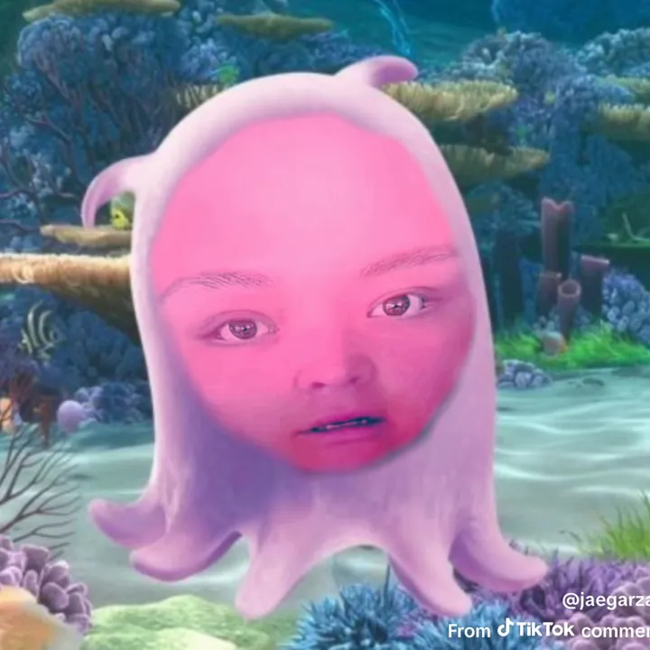 adamrayokay