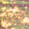 .loren.e