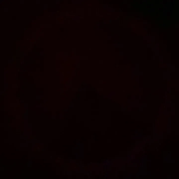 upchurchfan2019