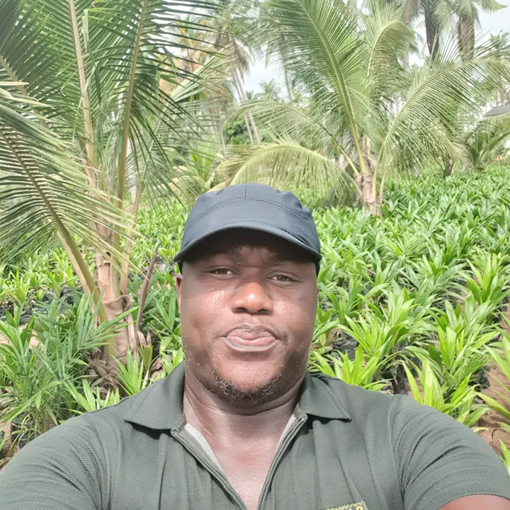babaobatvyukiagro