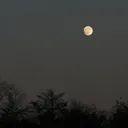 @d_mja7