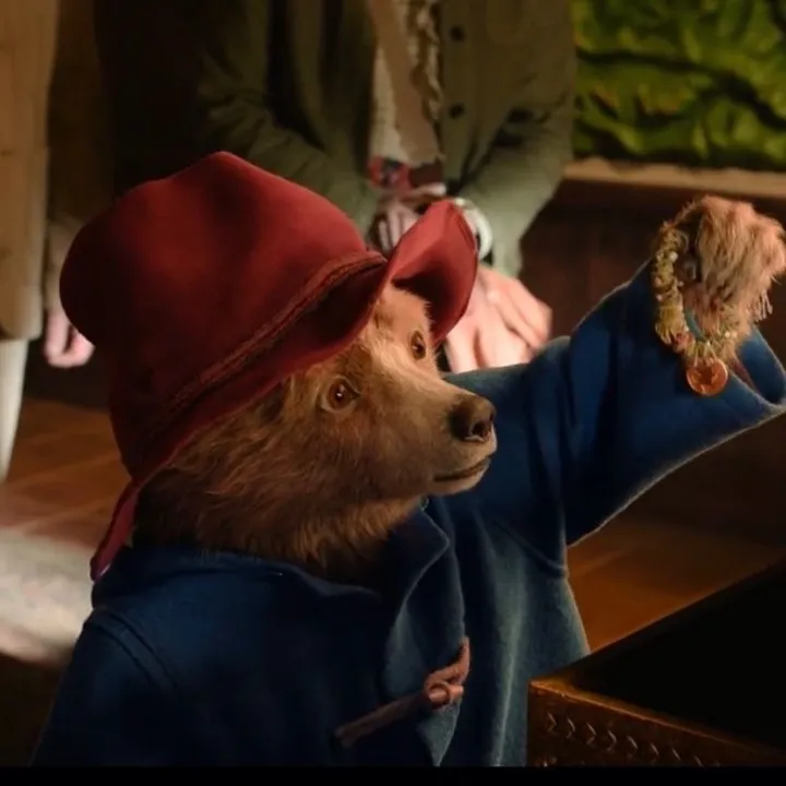@dearpaddington