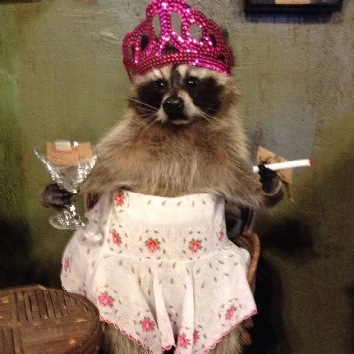 raccoongirl67