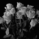 @x.elioelioelioelio.x