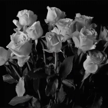 @x.elioelioelioelio.x