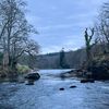dryflyguy15