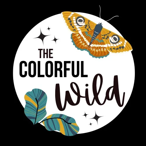 @thecolorfulwild