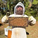 @bearded_bee_man