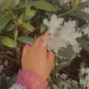 @aahilraja015