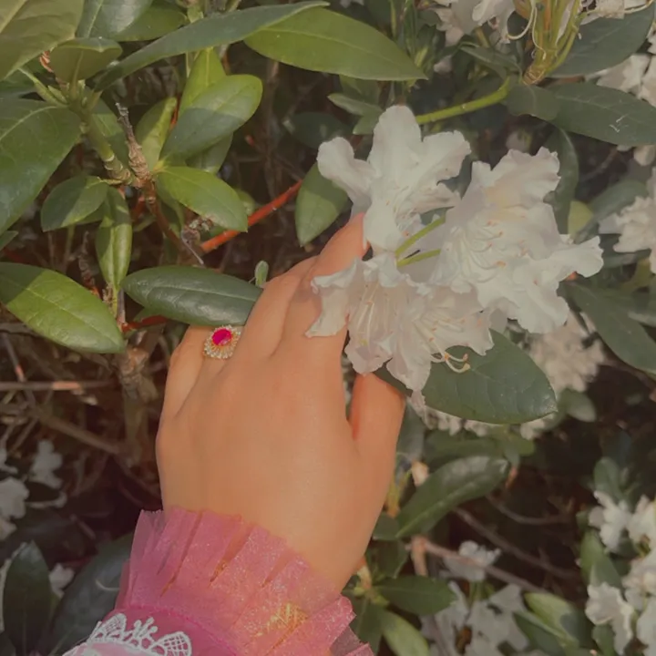 @aahilraja015