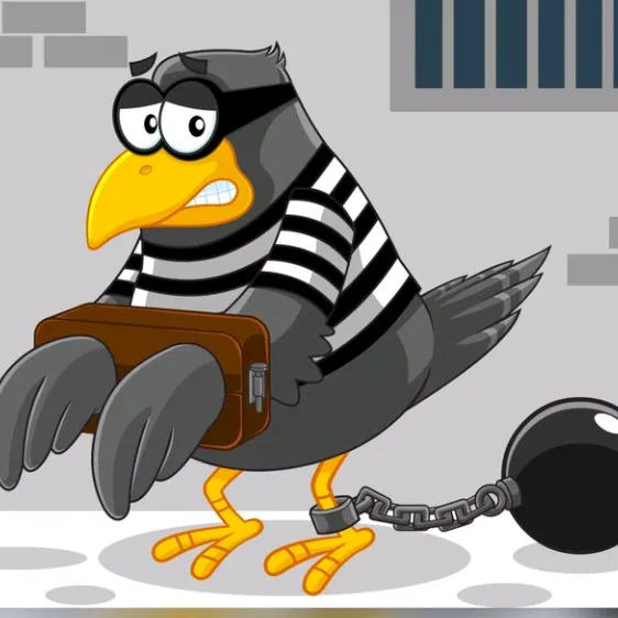 jailbirdconnection