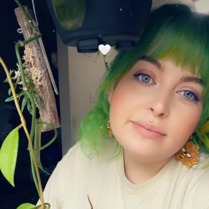 opalsky_