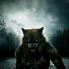 wolf6103