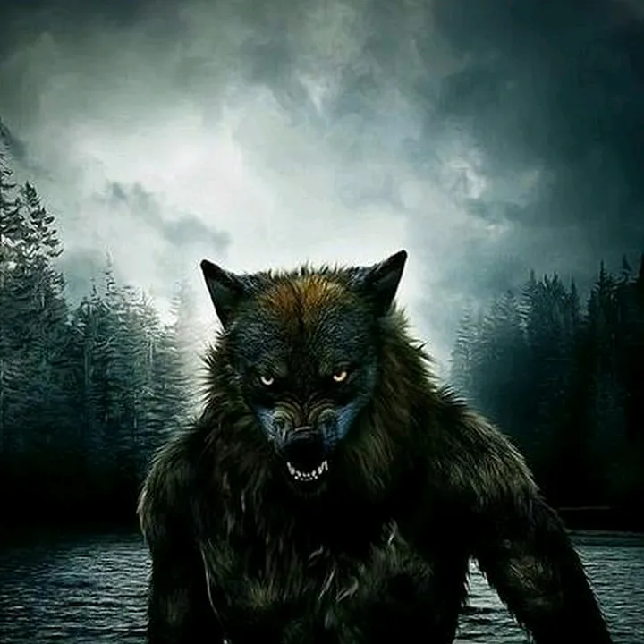 @wolf6103
