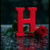 santy..h