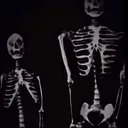@onlybonez