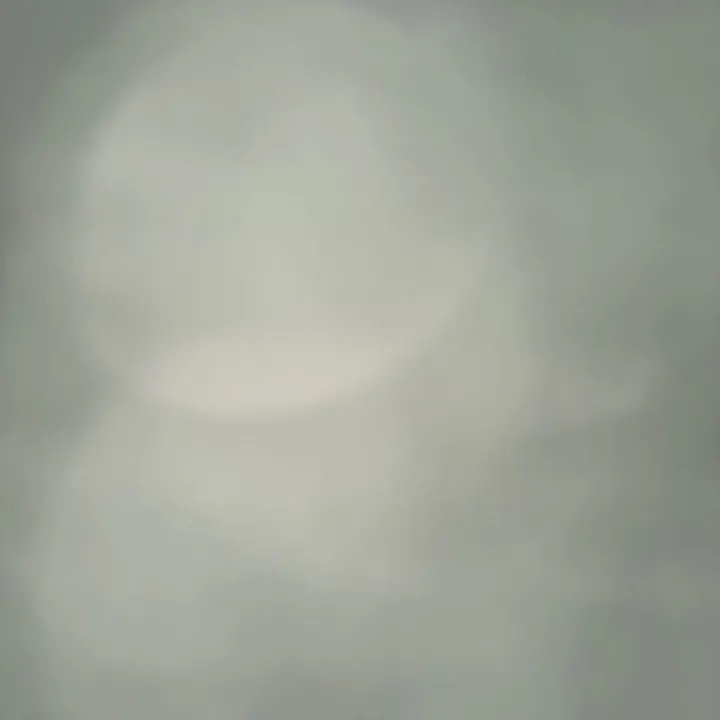 wesdidit14