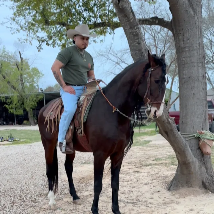 thelashcowboy