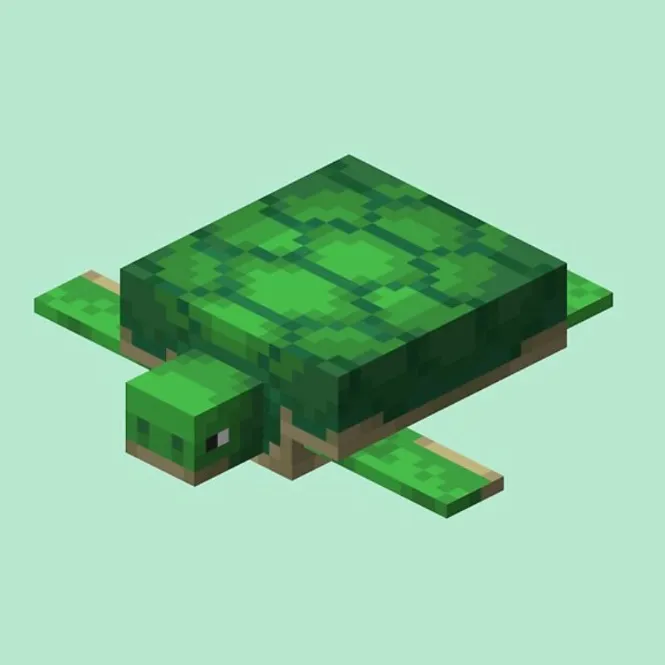turtles0004