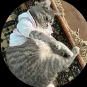 @riham.alm